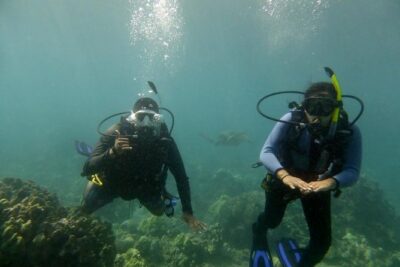 South Maui Discover Scuba Dive - Shore Entry Skills: The Confidence-Upfront Approach