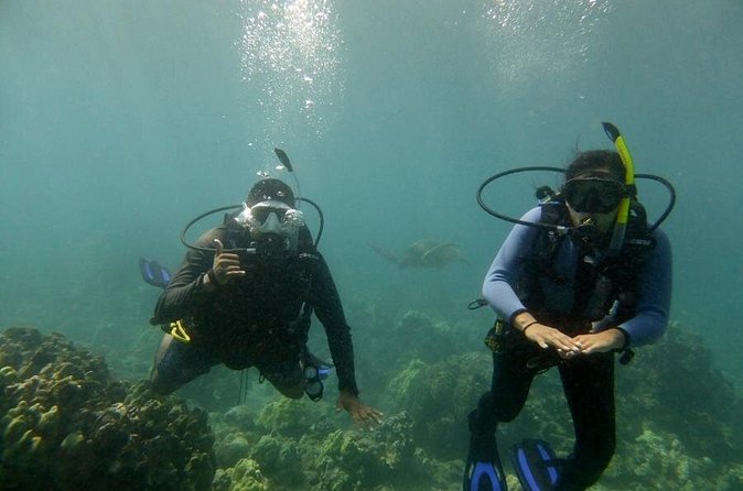 South Maui Discover Scuba Dive - Who This Fits Best (And the Health Reality Check)