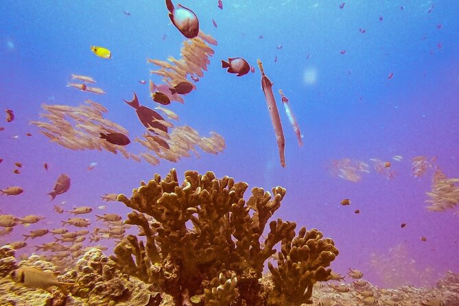 South Maui Discover Scuba Dive - Gear Details That Make or Break Comfort