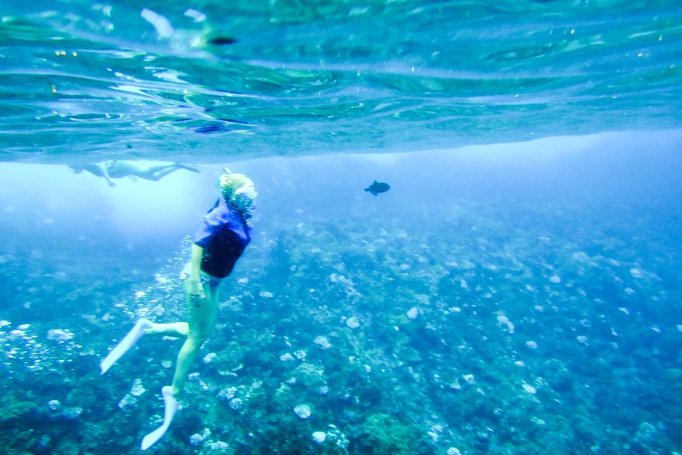 South Maui: Molokini Wild Eco Adventure from Maalaea Harbor - Marine Naturalists on board: learning that actually helps