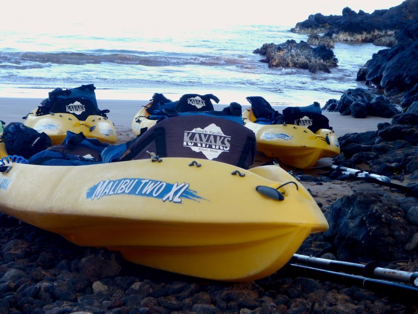 South Maui: Premium Turtle Town Kayak and Snorkel Tour - How hard is the paddle and what it feels like in real water