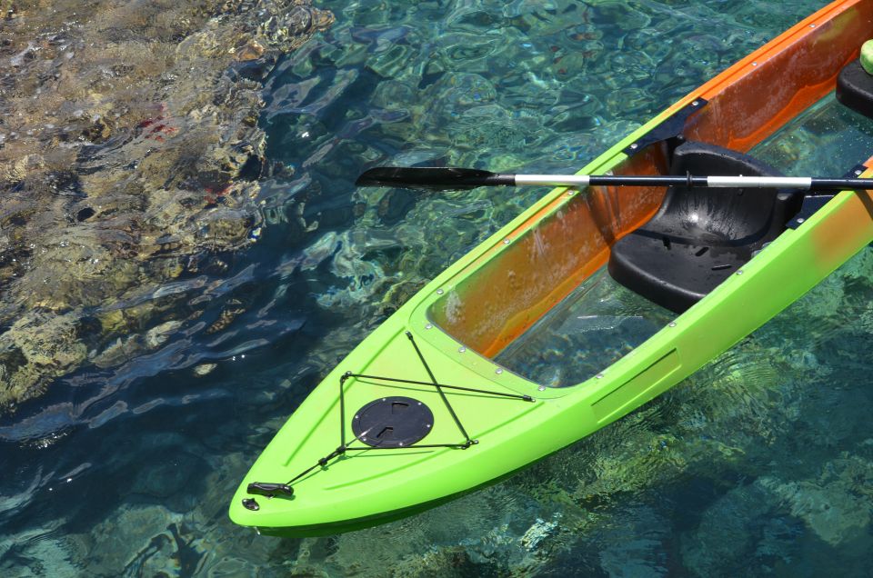 South Maui: Self Guided Clear Bottom Kayak Tour - Price and value: is $125 for two worth it?