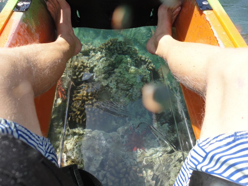 South Maui: Self Guided Clear Bottom Kayak Tour - Who should book this self-guided clear-bottom kayak?