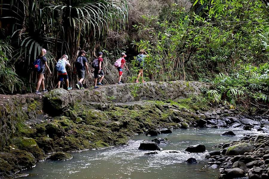 South Maui: Waterfall Tour w/ Kayak, Snorkel, and Hike - The guide factor: why Tim and Jacob get name-checked