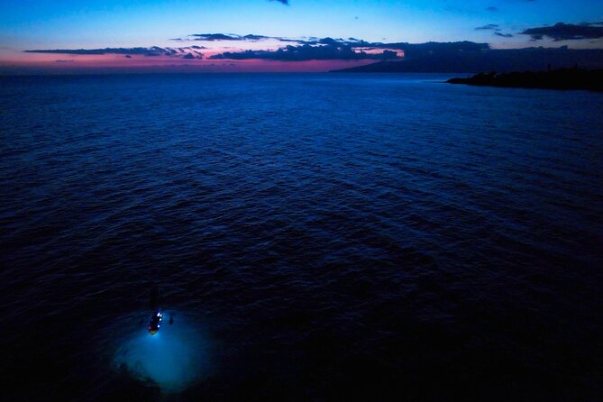Sunset/Glow Clear Kayak Tour in Olowalu - The manta-ray plan: plankton lights create a real night feeding scene