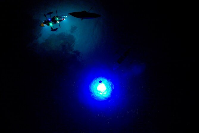 Sunset/Glow Clear Kayak Tour in Olowalu - Night reef life beneath you: shrimp, squid, eels, and more