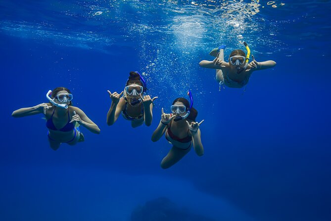 Sunset Glow Snorkel At Turtle Town With Photo & Video - What the Glow System Actually Changes for Your Snorkel
