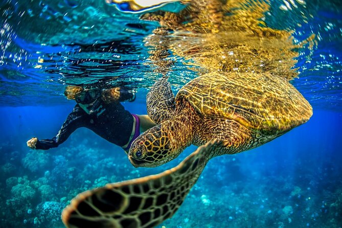 Super Raft - Private Charter Maui 3 Hour Snorkel to Coral Gardens or Molokini - How the 3-Hour Schedule Works (And Where the Time Goes)