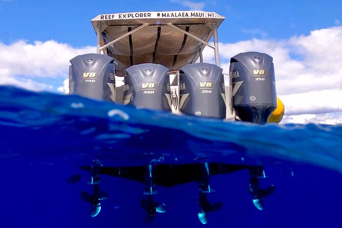 Super Raft - Private Charter Maui 3 Hour Snorkel to Coral Gardens or Molokini - Coral Gardens Option: When Weather Calls the Shot