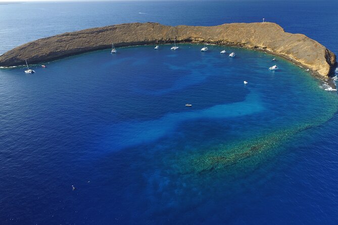 Super Raft - Private Charter Maui 3 Hour Snorkel to Coral Gardens or Molokini - What Snorkeling Feels Like With the Included Gear