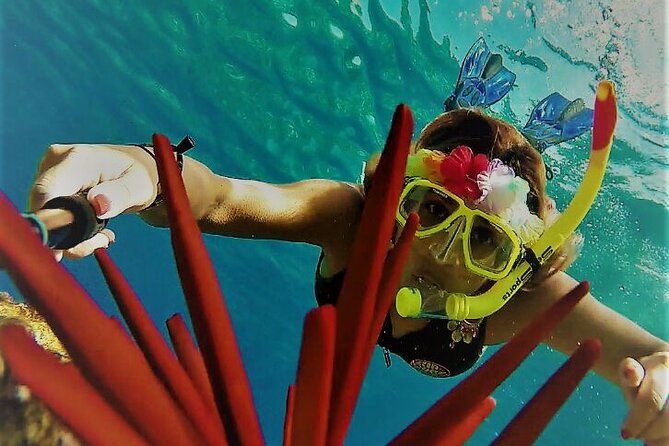Super Raft - Private Charter Maui 3 Hour Snorkel to Coral Gardens or Molokini - Food, Drinks, and On-Board Comfort You’ll Actually Notice