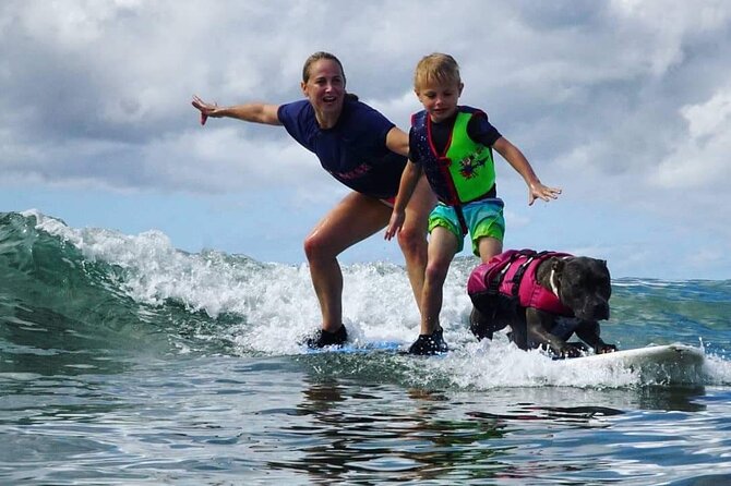 Surf with a Service Animal - Surf Coaching with James: Lessons That Get You Standing