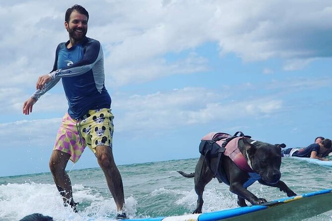 Surf with a Service Animal - Gear Included: What You Don’t Have to Rent