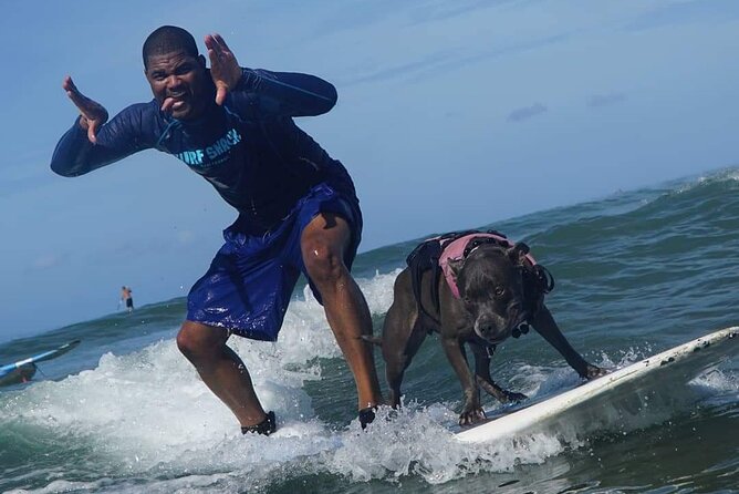 Surf with a Service Animal - Price and Logistics: Is $200 Worth It?