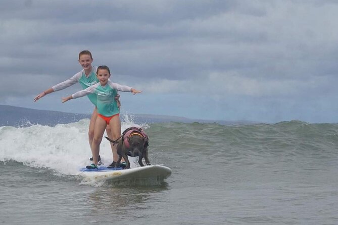 Surf with a Service Animal - Who This Maui Surf Lesson Fits Best