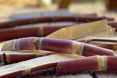 Taste of Hawaii: A Maui Farm Tour - The 10:30am schedule, 90 minutes, and the group cap that keeps it sane