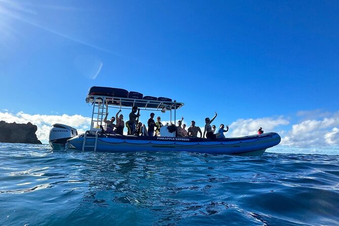 The Best 10 am 1.5 Hour Whale Watching Tour - When whales come close: why the tour might stretch a little