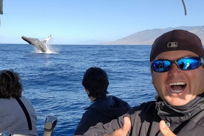 The Best 12 pm 1.5 Hour Whale Watching Tour - Why a 12 pm Kihei whale watch can be a smart choice