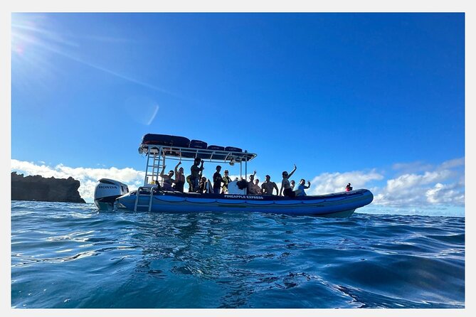 The Best 8 am 1.5 Hour Whale Watching Tour - Close encounters near 100 yards: why the schedule might stretch