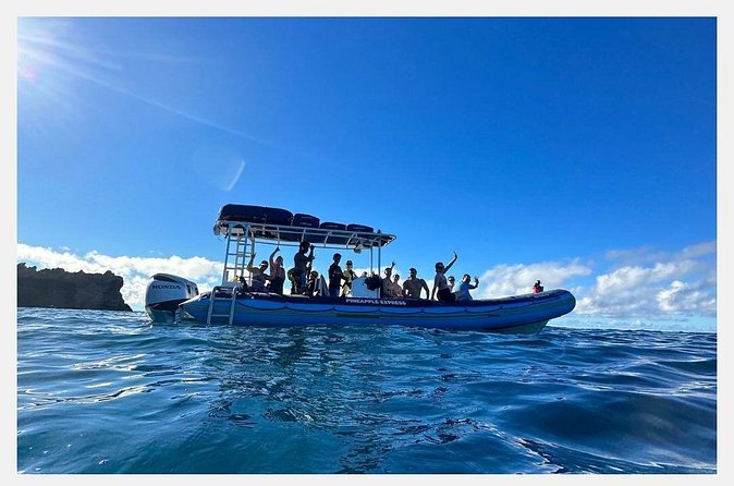 The Best 8 am 1.5 Hour Whale Watching Tour - What you get to sip: juices and bottled water