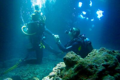 Turtle & Shark Scuba Dive in Lahaina: Certified - Shore Entry Rules You Need to Respect (Before You Even Think About Sharks)
