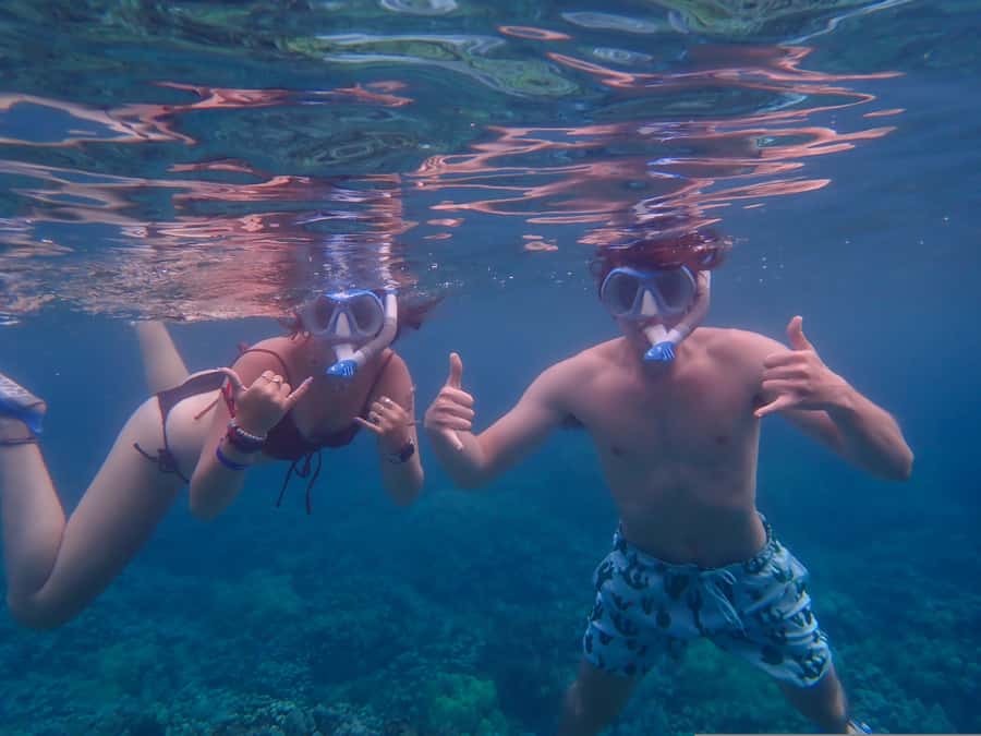 Turtle Town Clear Kayak & Snorkel Tour (8am-11am) - Guides, Teaching, and the Hawaiian Context You Actually Remember