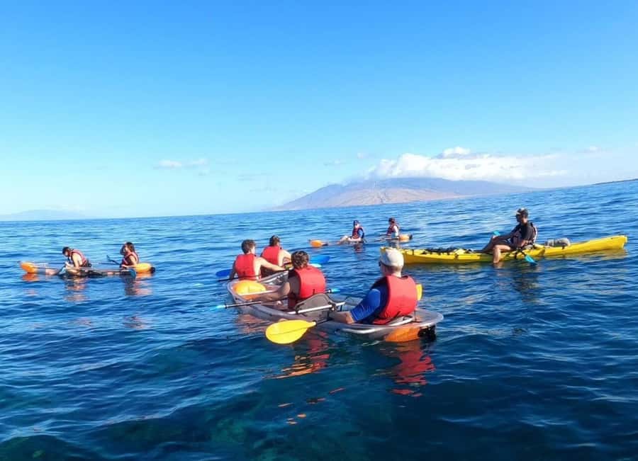 Turtle Town, Makena; Clear Bottom Kayak and Snorkel Tour - Key things you should know before you book