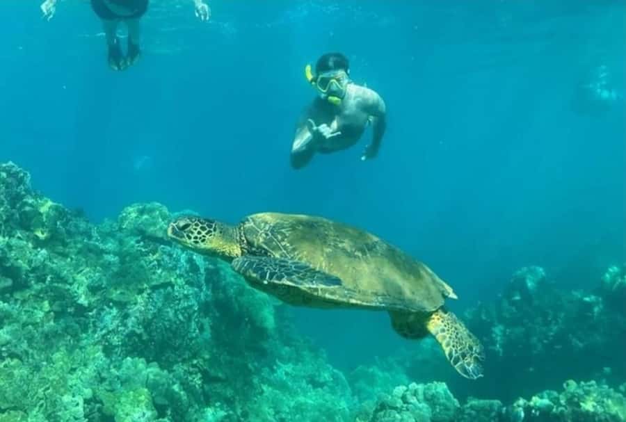 Turtle Town, Makena; Clear Bottom Kayak and Snorkel Tour - The 3-hour plan: calm paddling, one solid snorkel block