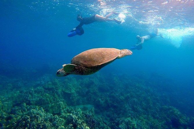 Turtle Town Underwater Scooter Snorkeling Tour with GoPro - Maluaka Beach Start: Meeting Point, Gear Check, and Ocean Safety