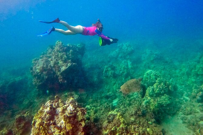 Turtle Town Underwater Scooter Snorkeling Tour with GoPro - Turtle Town Underwater: Green Sea Turtles and Reef Fish on a Guided Route