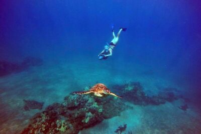 Turtle Town Underwater Scooter Snorkeling Tour with GoPro - The Sea Scooter Tutorial: Moving Efficiently Without White-Knuckle Effort