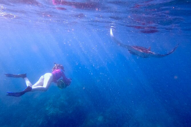 Turtle Town Underwater Scooter Snorkeling Tour with GoPro - How the Guided Pace Really Feels in the Water