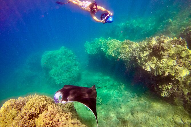 Turtle Town Underwater Scooter Snorkeling Tour with GoPro - Who This Tour Suits Best (and Who Should Skip It)