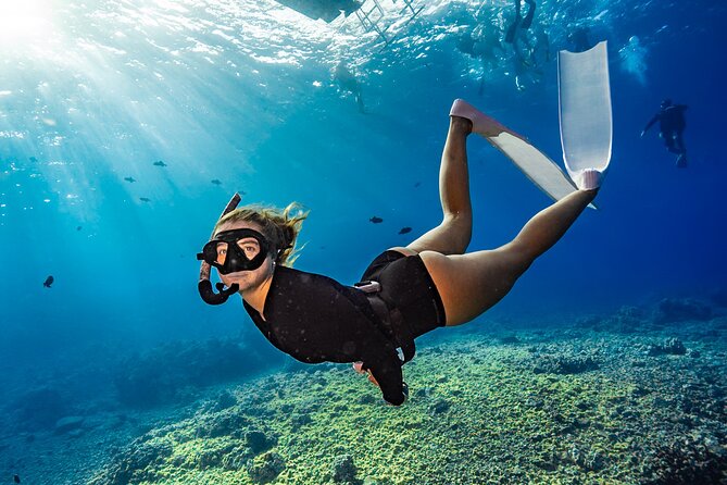 Two Site Snorkeling Adventure featuring the Molokini Crater - Key highlights to know before you go