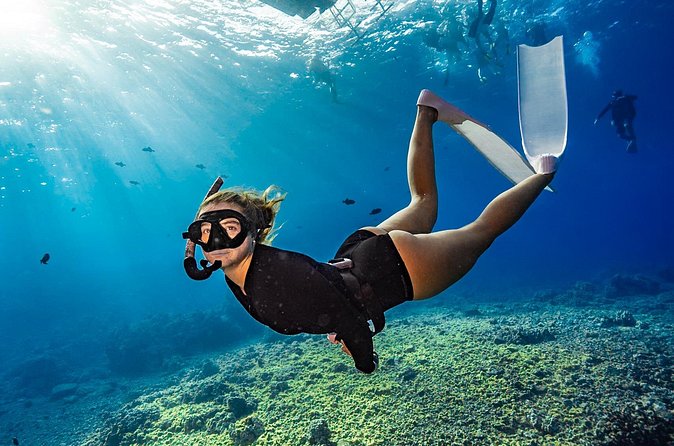 Two Site Snorkeling Adventure featuring the Molokini Crater - Who should book this snorkel adventure