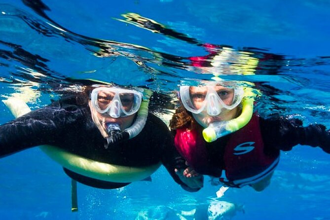 Two Stop Snorkel Adventure from Maui - Quick hits: what makes this Maui snorkel day worth your time