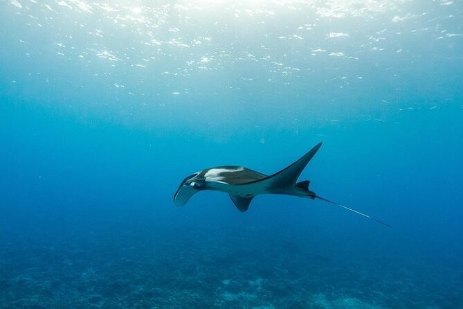 Two Stop Snorkel Adventure from Maui - Is $209.99 good value for Molokini and two snorkel stops?