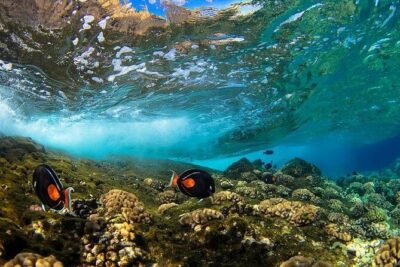 Two Stop Snorkel Adventure from Maui - Getting started from Maalaea Road: pacing for a 5-hour day