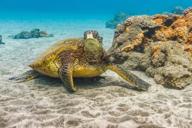 Two Stop Snorkel Adventure from Maui - Snorkeling equipment and safety choices that affect comfort