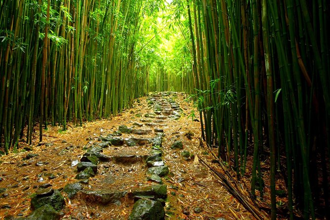 Ultimate Hana Full-Day Adventure Tour - Entering Old Hawaii: Bamboo, Waterfalls, and Seven Sacred Pools