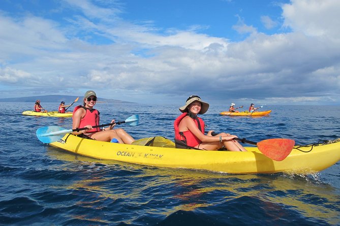 Ultimate Maui Whale Watch Snorkel Tour - Key Highlights Worth Jotting Down