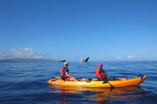 Ultimate Maui Whale Watch Snorkel Tour - What’s Not Included (and How to Plan Around It)