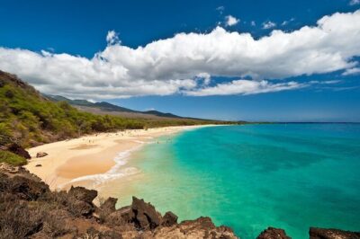 Underwater Scooter Dive (Certified Divers Only) Makena Wailea - NeverDry on Maui: what the small-operator vibe means in real life