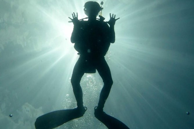 Underwater Scooter Dive (Certified Divers Only) Makena Wailea - Price and value: is $175 fair for a scooter scuba session?