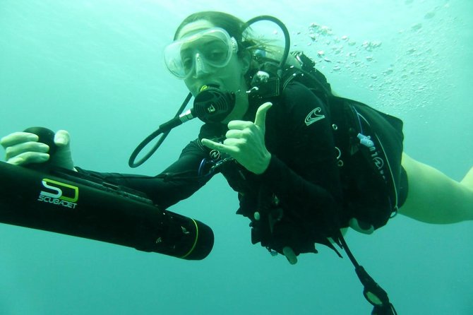 Underwater Scooter Dive (Certified Divers Only) Makena Wailea - My booking decision: should you book NeverDry at Makena?