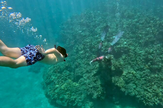 Unlimited Guided Snorkeling Tour for Beginners Plus - Key highlights at a glance