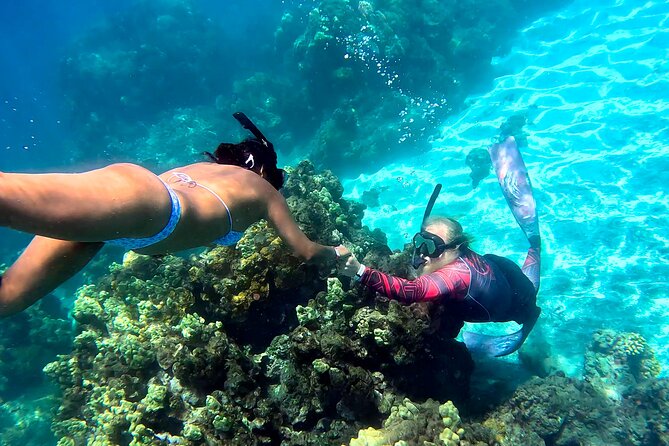Unlimited Guided Snorkeling Tour for Beginners Plus - Why Olowalu Reef is such a smart first stop on Maui