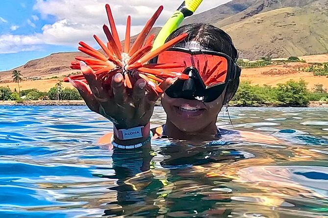 Unlimited Guided Snorkeling Tour for Beginners Plus - What’s included: the full beginner gear checklist (and why it’s worth it)