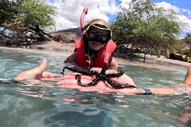Unlimited Guided Snorkeling Tour for Beginners Plus - Price and value: what $70.25 buys you in real-world terms