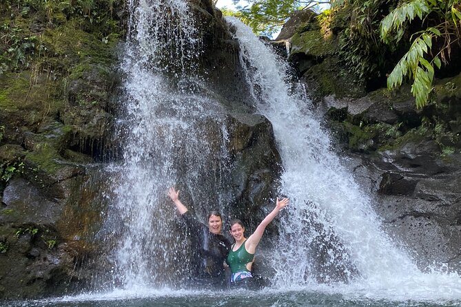 VIP Private Full-Day Road to Hana Tour - Bamboo Forest and Ke‘anae Point: walking-worthy nature breaks